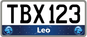 leo star sign personalised plate